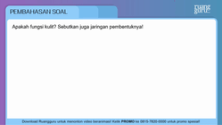Pembahasan