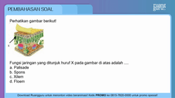 Pembahasan