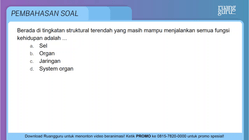 Pembahasan