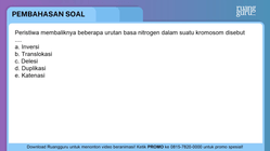 Pembahasan
