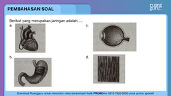 Pembahasan