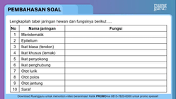 Pembahasan