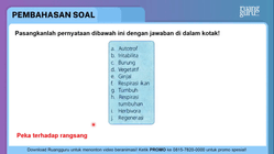 Pembahasan