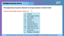 Pembahasan