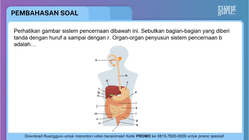 Pembahasan