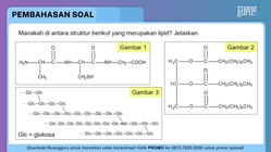 Pembahasan