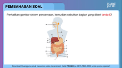 Pembahasan