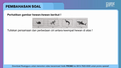 Pembahasan