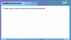 Pembahasan