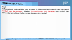 Pembahasan