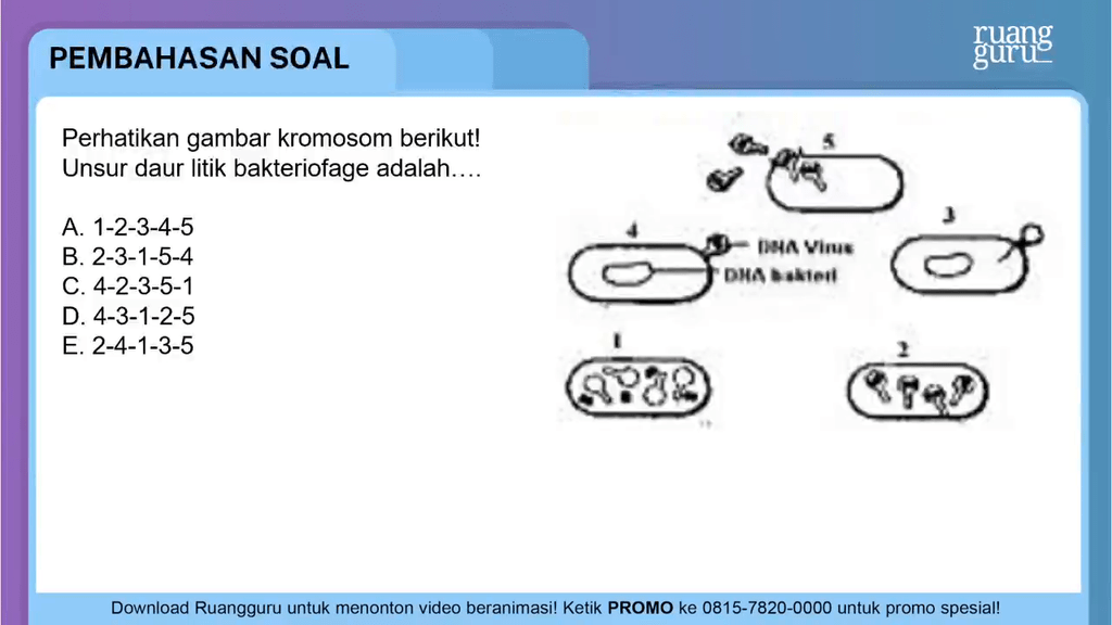 Perhatikan Gambar Berikut. Urutan Daur Litik...