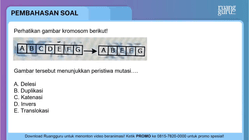 Pembahasan