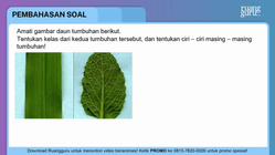 Pembahasan