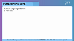 Pembahasan
