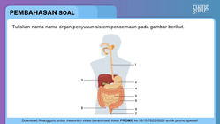 Pembahasan