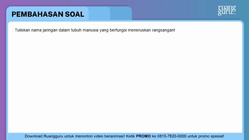 Pembahasan