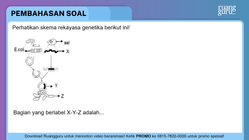 Pembahasan