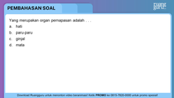 Pembahasan