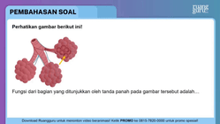 Pembahasan