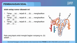 Pembahasan