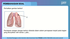 Pembahasan