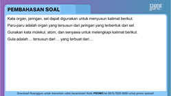 Pembahasan