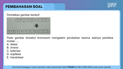 Pembahasan
