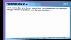Pembahasan