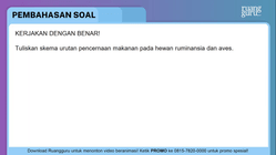 Pembahasan