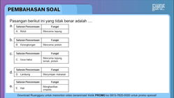 Pembahasan