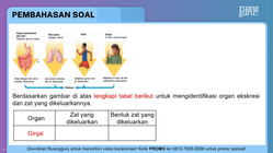 Pembahasan