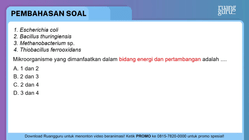 Pembahasan