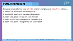 Pembahasan