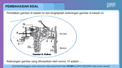 Pembahasan