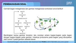 Pembahasan