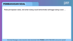 Pembahasan