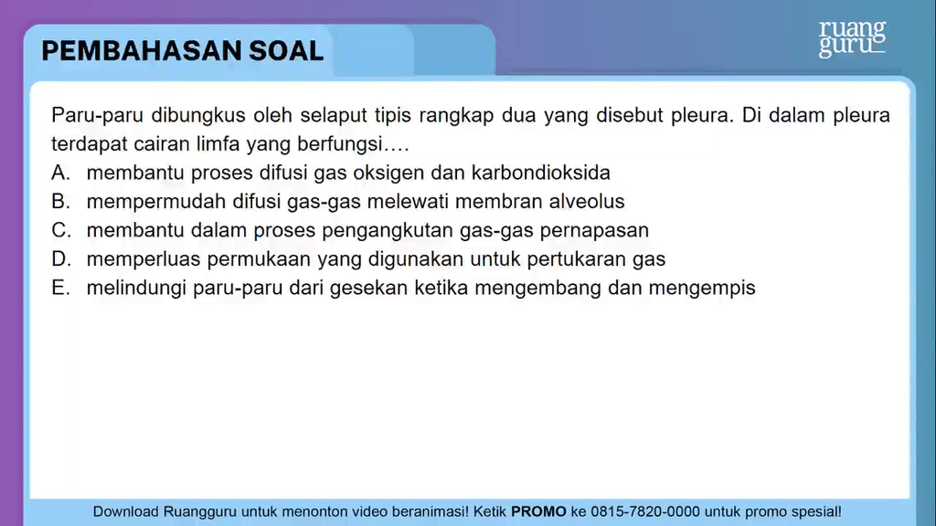 Paru Paru Dibungkus Oleh Selaput Tipis Rangkap Dua