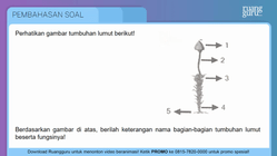 Pembahasan