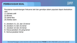 Pembahasan