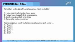 Pembahasan