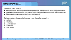 Pembahasan