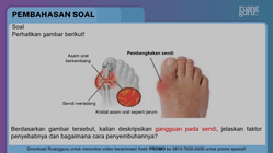 Pembahasan