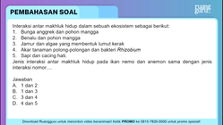 Pembahasan