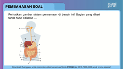 Pembahasan