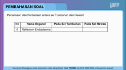 Pembahasan