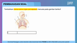 Pembahasan
