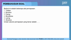 Pembahasan
