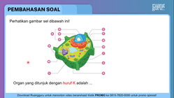 Pembahasan