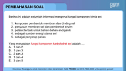 Pembahasan