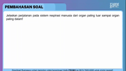 Pembahasan